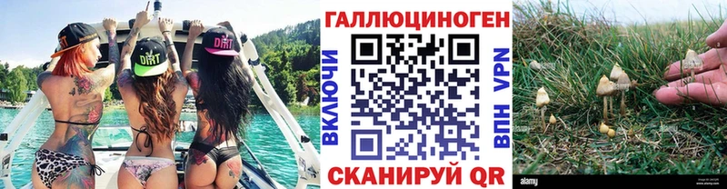 где купить наркотик  Никольск  Галлюциногенные грибы ЛСД 